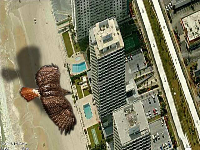 Photo 1 of 24 — 2828 N ATLANTIC Avenue 2103, Daytona Beach, FL 32118