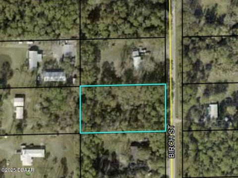 1082 Birch Street Bunnell FL 32110