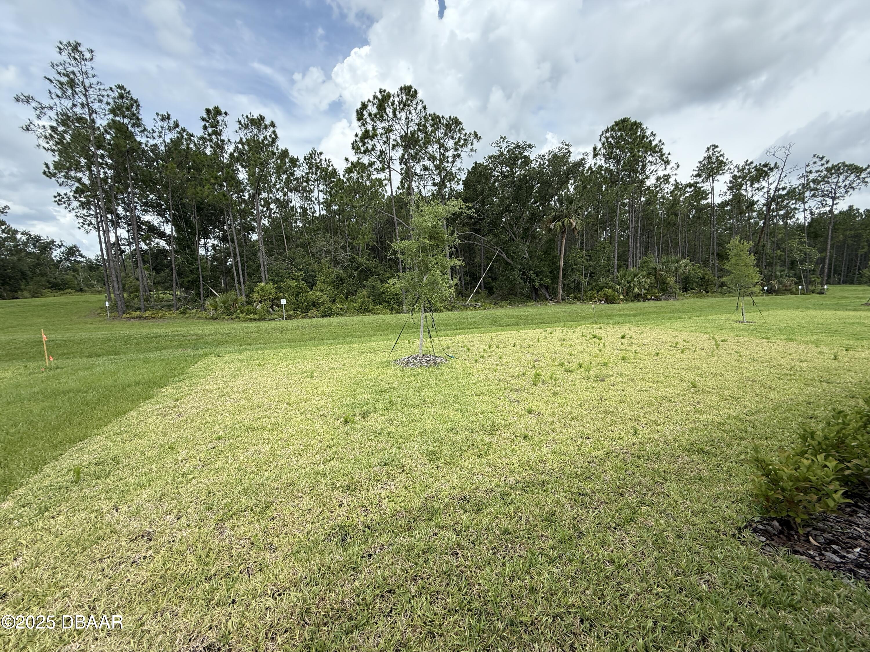368 Birkdale Drive