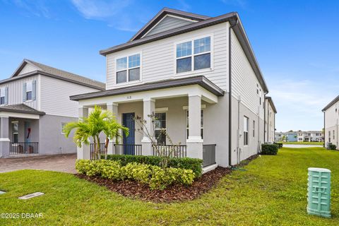 518 Venetian Palms Boulevard New Smyrna Beach FL 32168