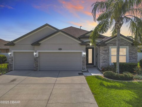 805 Snapdragon Drive New Smyrna Beach FL 32168
