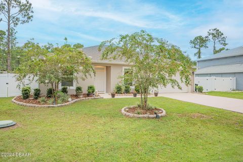 A home in Palm Coast