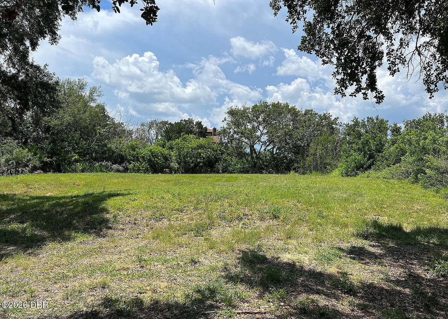 1102 Canopy Oak Lane