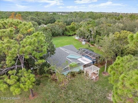 A home in Ormond Beach