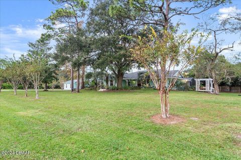 A home in Ormond Beach