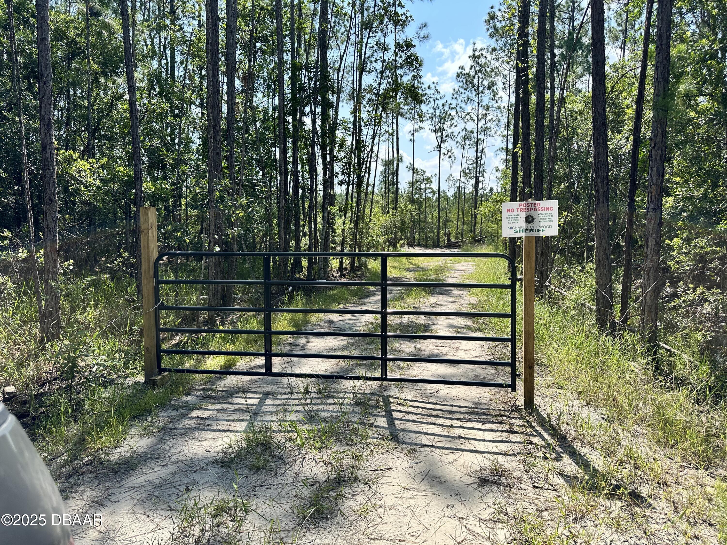 3789 Pine Pitch Court