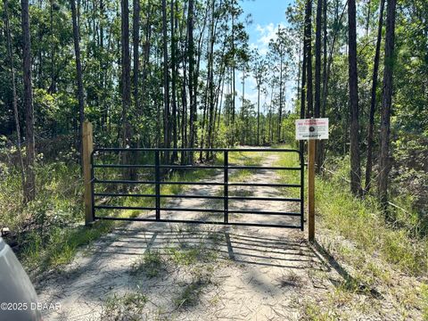 3789 Pine Pitch Court Ormond Beach FL 32174