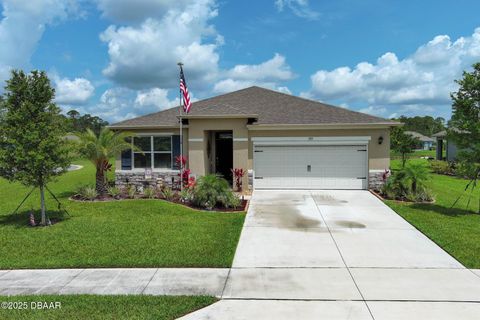 1313 Middle Lake Drive Ormond Beach FL 32174