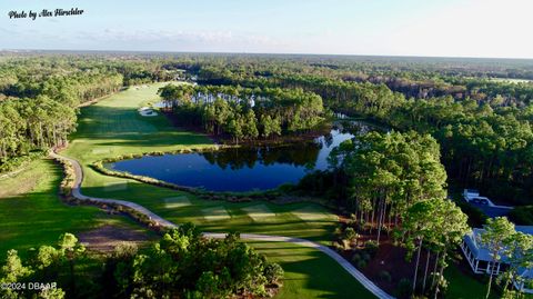 A home in Palm Coast