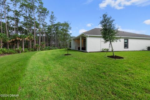 A home in Ormond Beach