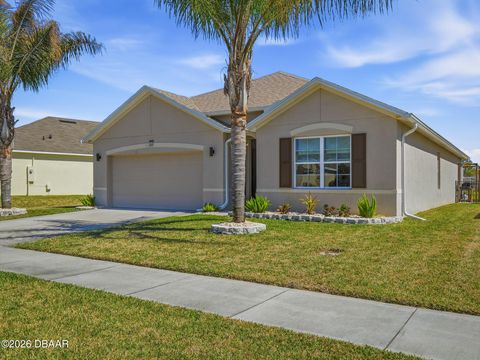 459 Pink Coral Lane New Smyrna Beach FL 32168