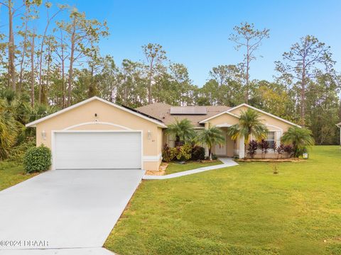 A home in Palm Coast