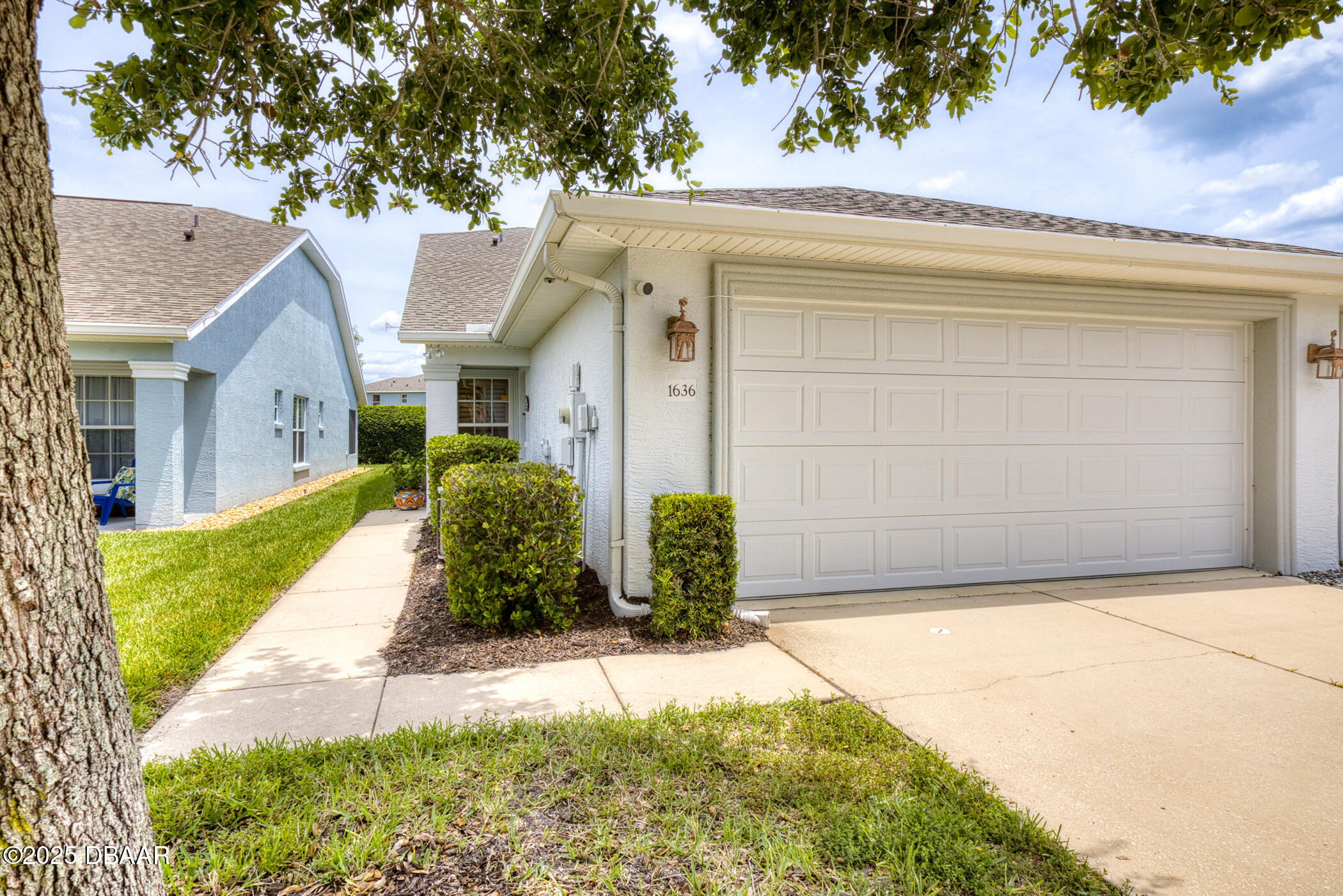1636 Areca Palm Drive