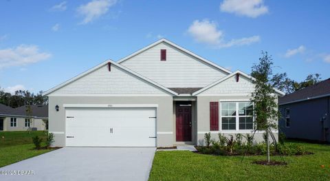2282 Lake Preserve Circle New Smyrna Beach FL 32168