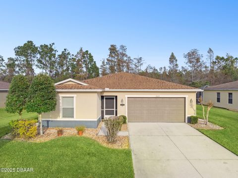 269 Thornberry Branch Lane Daytona Beach FL 32124
