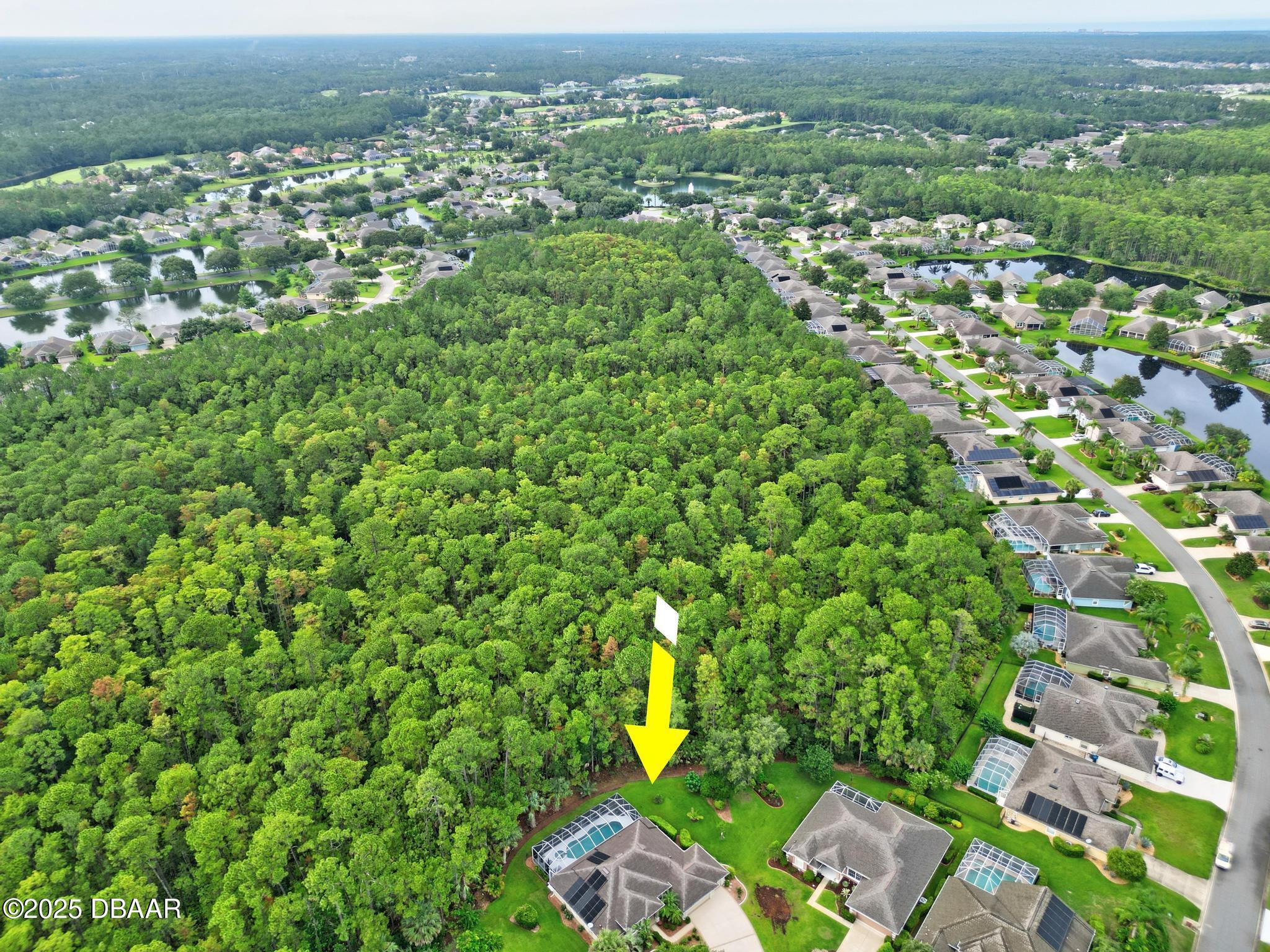 1254 Royal Pointe Lane