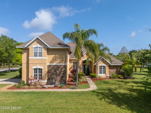 3 Oscelot Court Ormond Beach FL 32174