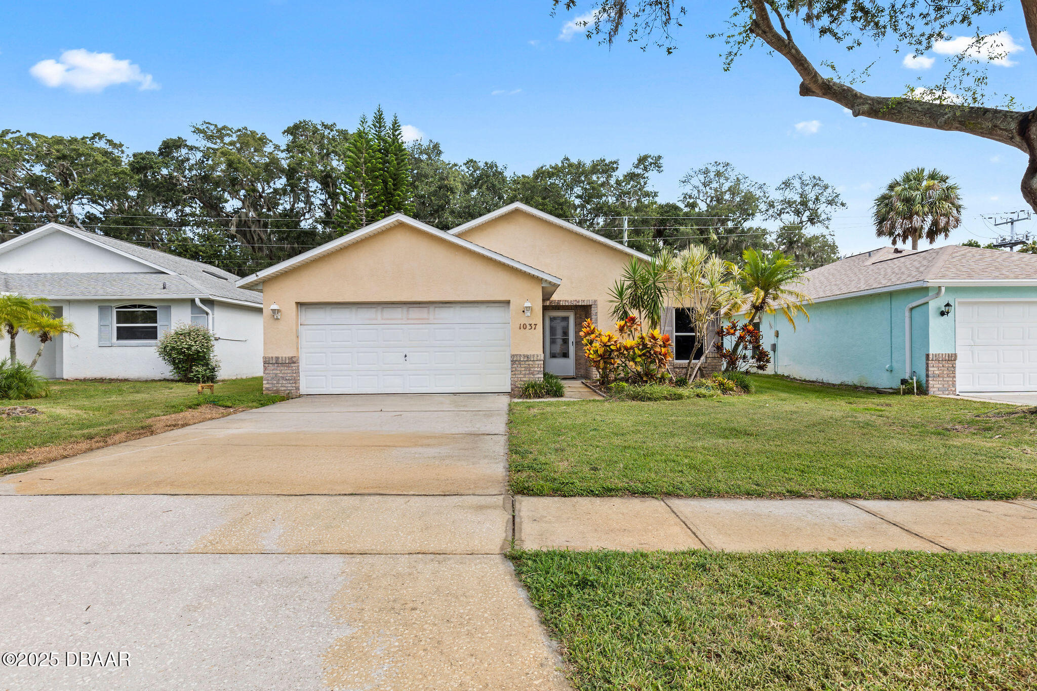 1037 Deer Springs Road