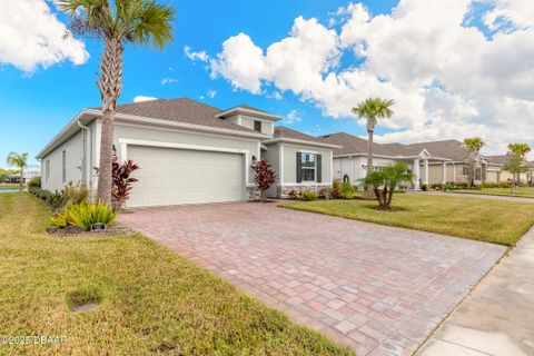 13 Fawn Haven Trail Ormond Beach FL 32174