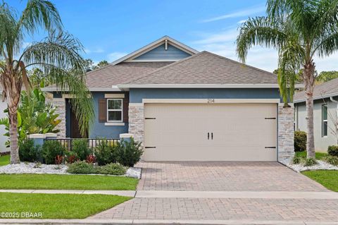 214 Caryota Court New Smyrna Beach FL 32168