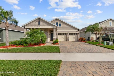 211 Venetian Palms Boulevard New Smyrna Beach FL 32168
