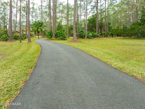 A home in Ormond Beach
