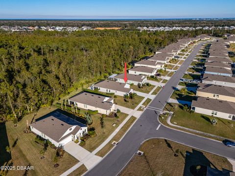 A home in Ormond Beach