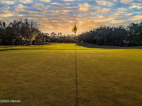 A home in Ormond Beach