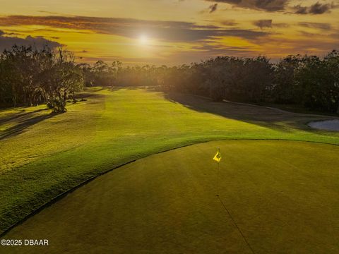 A home in Ormond Beach