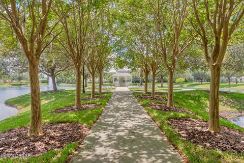 A home in Ormond Beach