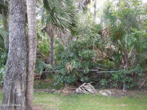 A home in Ormond Beach