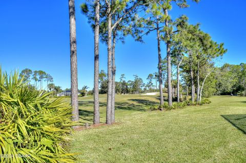 A home in Ormond Beach