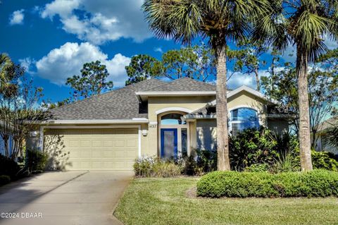 A home in Ormond Beach