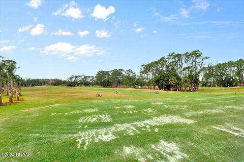 A home in Ormond Beach