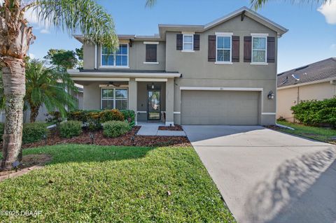 461 White Coral Lane New Smyrna Beach FL 32168