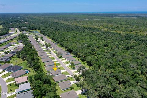 A home in Ormond Beach