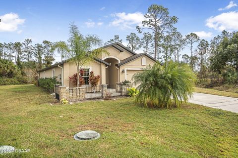 A home in Palm Coast