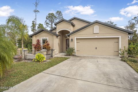 A home in Palm Coast