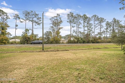 A home in Palm Coast