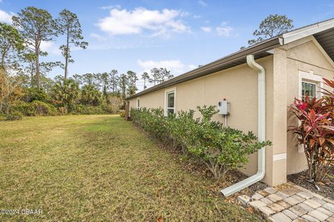 A home in Palm Coast