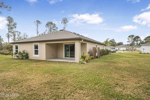 A home in Palm Coast