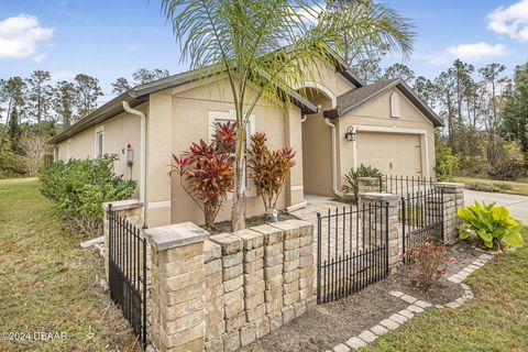 A home in Palm Coast