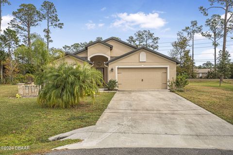 A home in Palm Coast