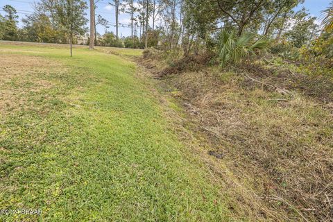 A home in Palm Coast