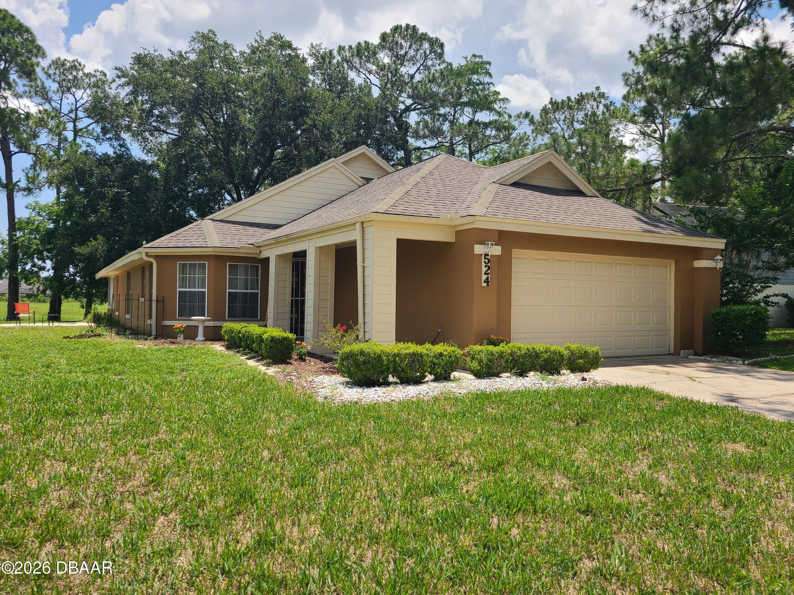 524 Crooked Stick -2a