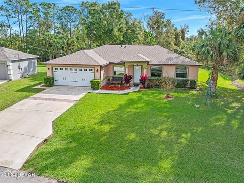 A home in Palm Coast