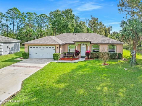 A home in Palm Coast