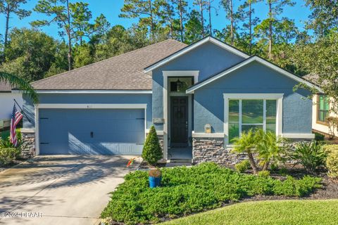 A home in Ormond Beach