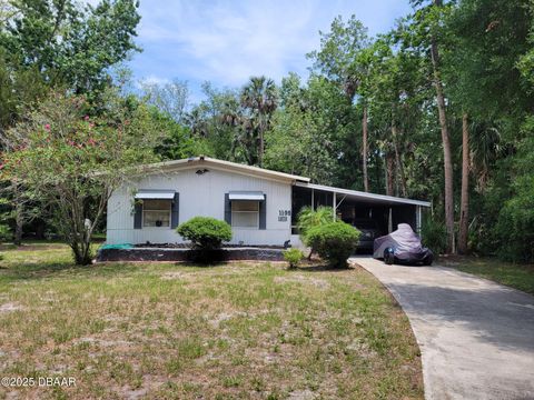1139 Carya Cir Circle Port Orange FL 32129