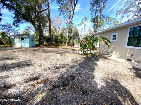 A home in Ormond Beach